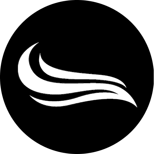 ParseStream Logo