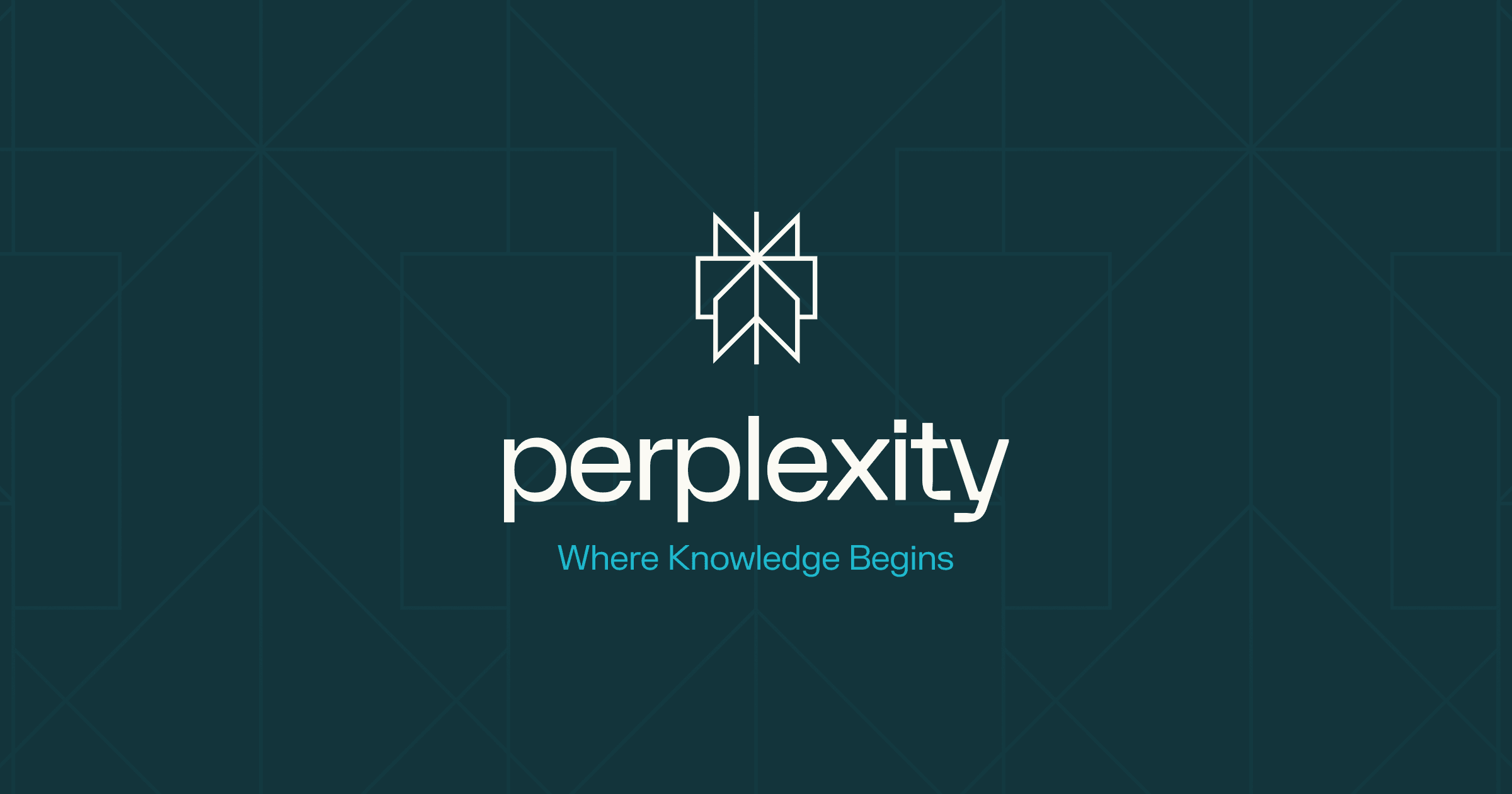 Perplexity Banner